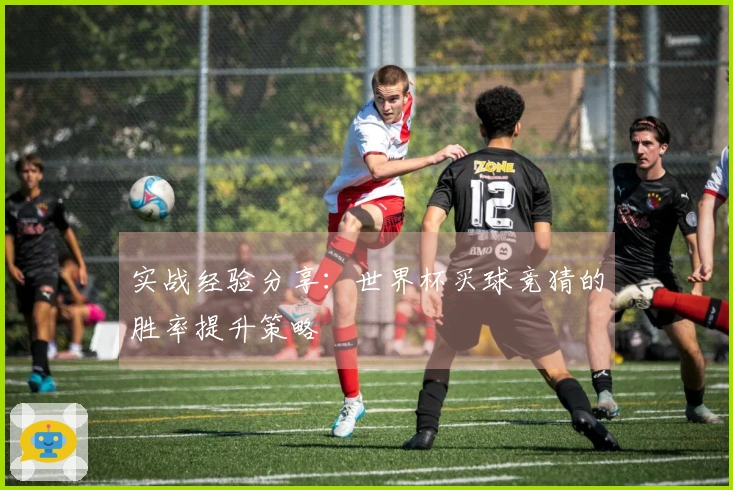 实战经验分享：世界杯买球竞猜的胜率提升策略