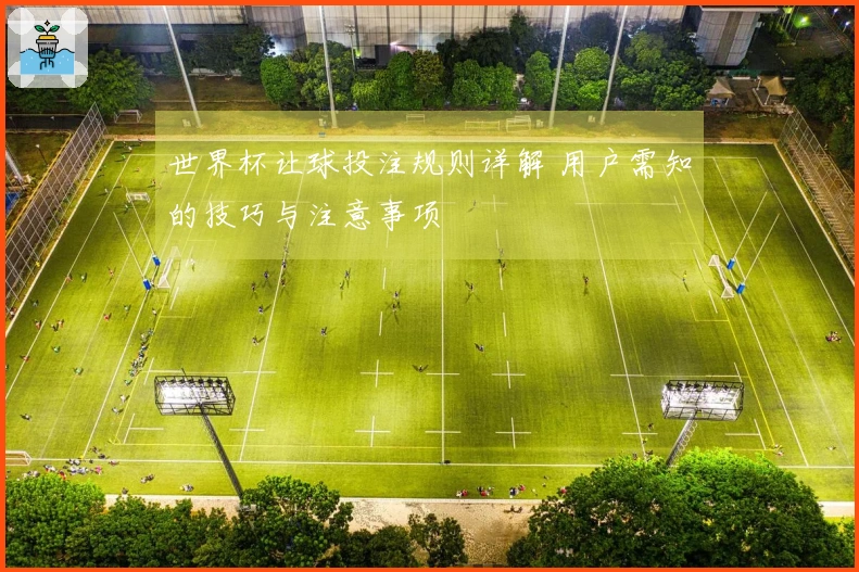 世界杯让球投注规则详解 用户需知的技巧与注意事项