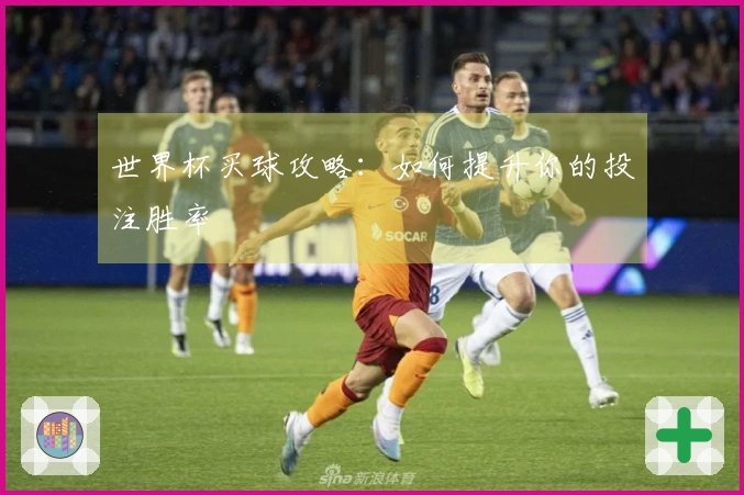 世界杯买球攻略：如何提升你的投注胜率