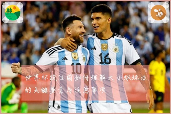 世界杯投注前如何理解大小球玩法的关键要素与注意事项