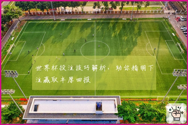世界杯投注技巧解析，助你精明下注赢取丰厚回报