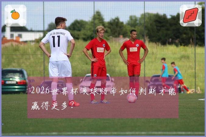 2026世界杯滚球赔率如何判断才能赢得更多？