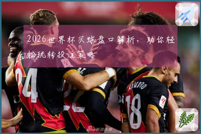 2026世界杯买球盘口解析，助你轻松玩转投注策略