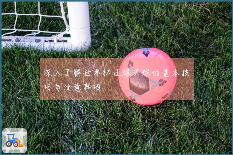 深入了解世界杯让球买球的基本技巧与注意事项