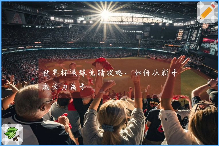 世界杯滚球竞猜攻略，如何从新手成长为高手