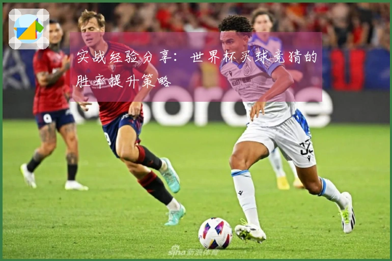 实战经验分享：世界杯买球竞猜的胜率提升策略