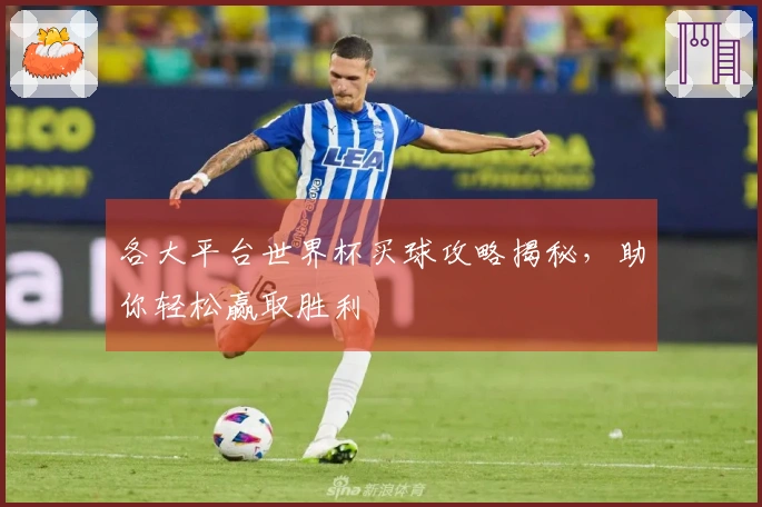 各大平台世界杯买球攻略揭秘，助你轻松赢取胜利