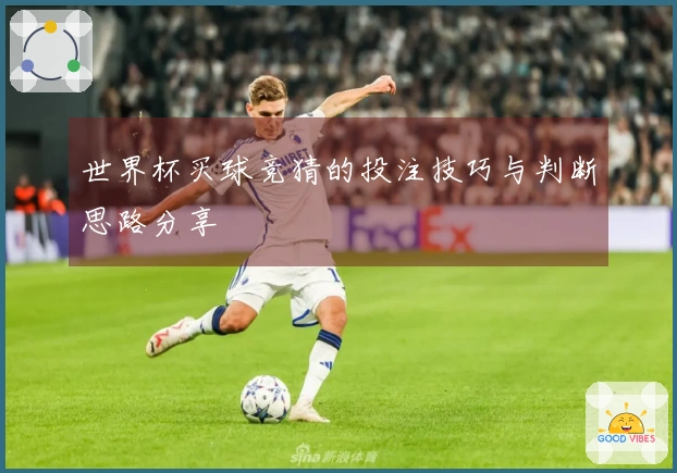 世界杯买球竞猜的投注技巧与判断思路分享
