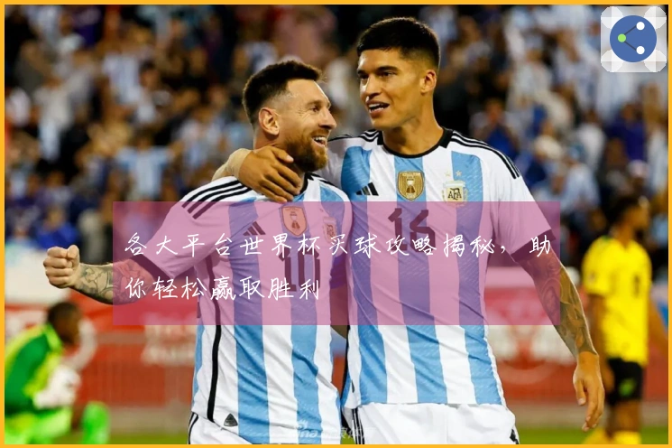 各大平台世界杯买球攻略揭秘，助你轻松赢取胜利