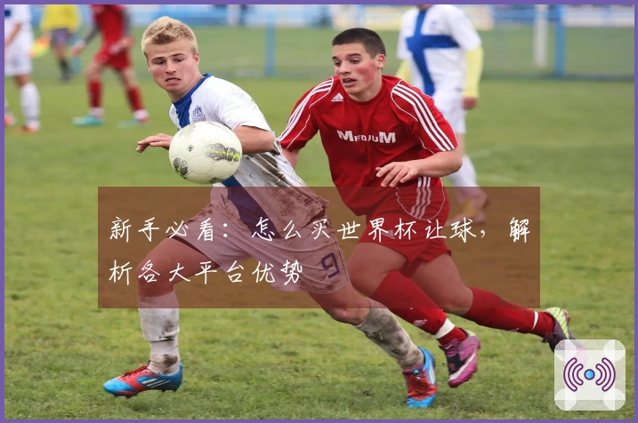 新手必看：怎么买世界杯让球，解析各大平台优势