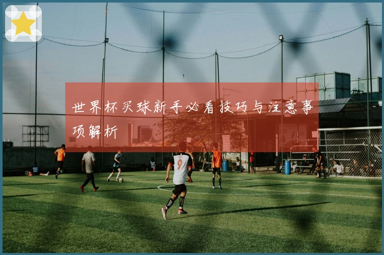 世界杯买球新手必看技巧与注意事项解析