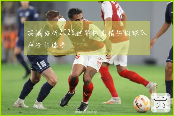 实战分析2026世界杯竞猜热门球队和冷门选手