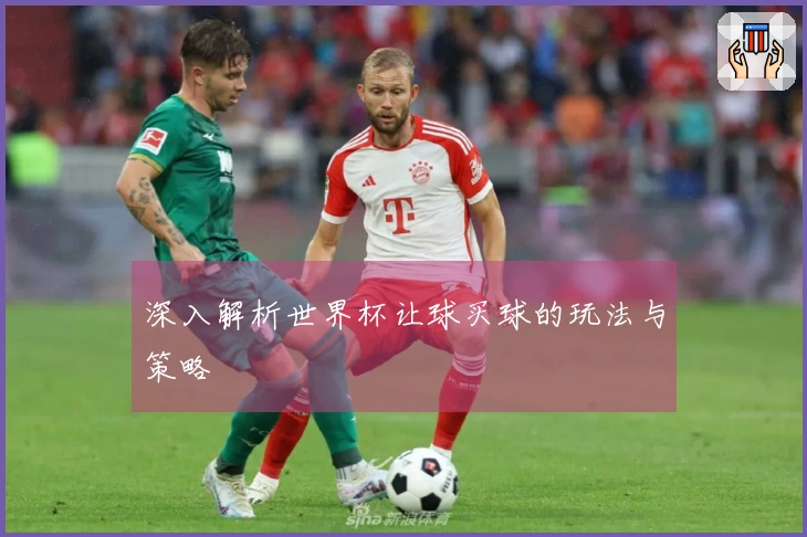 深入解析世界杯让球买球的玩法与策略