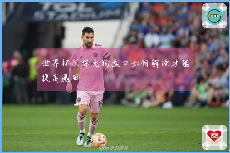 世界杯买球竞猜盘口如何解读才能提高赢率