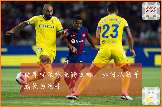 世界杯滚球竞猜攻略，如何从新手成长为高手