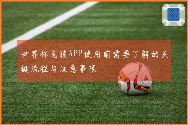 世界杯竞猜APP使用前需要了解的关键流程与注意事项