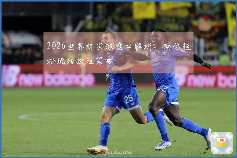 2026世界杯买球盘口解析，助你轻松玩转投注策略