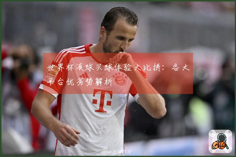 世界杯滚球买球体验大比拼：各大平台优劣势解析
