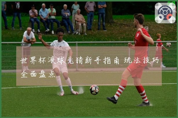 世界杯滚球竞猜新手指南 玩法技巧全面盘点