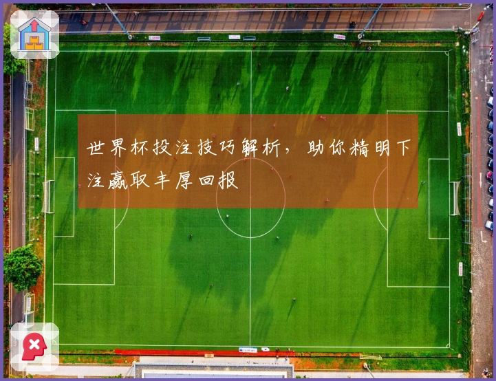 世界杯投注技巧解析，助你精明下注赢取丰厚回报