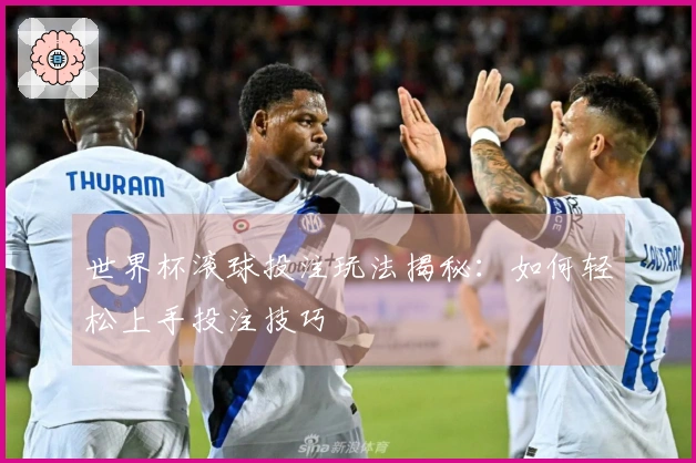 世界杯滚球投注玩法揭秘：如何轻松上手投注技巧