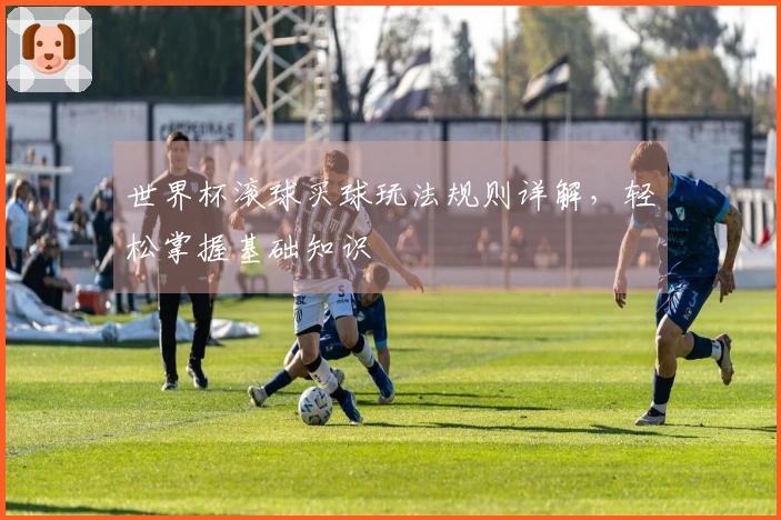 世界杯滚球买球玩法规则详解，轻松掌握基础知识